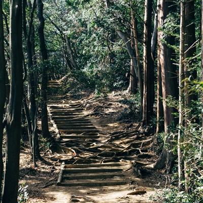 块块对战测试服下载